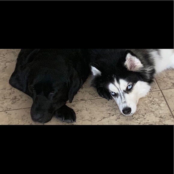 DON'T FORGET TO PAY FOR YOUR BUNDLES AND SAVE 💰💰 - Picture 1 of 3